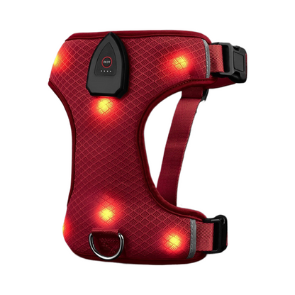 Safety Glow LED Dog Harness - USB Rechargeable Reflective Vest - No-Pull Mesh Design (3 Flash Modes)