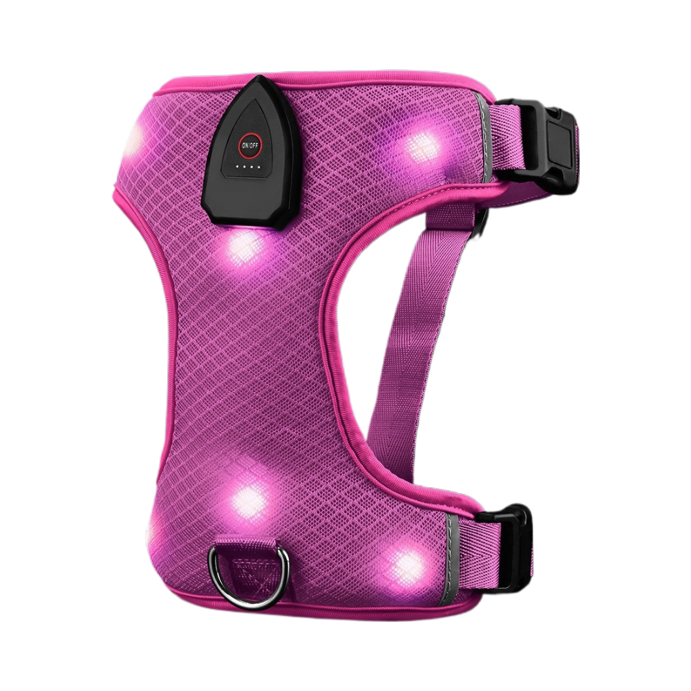 Safety Glow LED Dog Harness - USB Rechargeable Reflective Vest - No-Pull Mesh Design (3 Flash Modes)