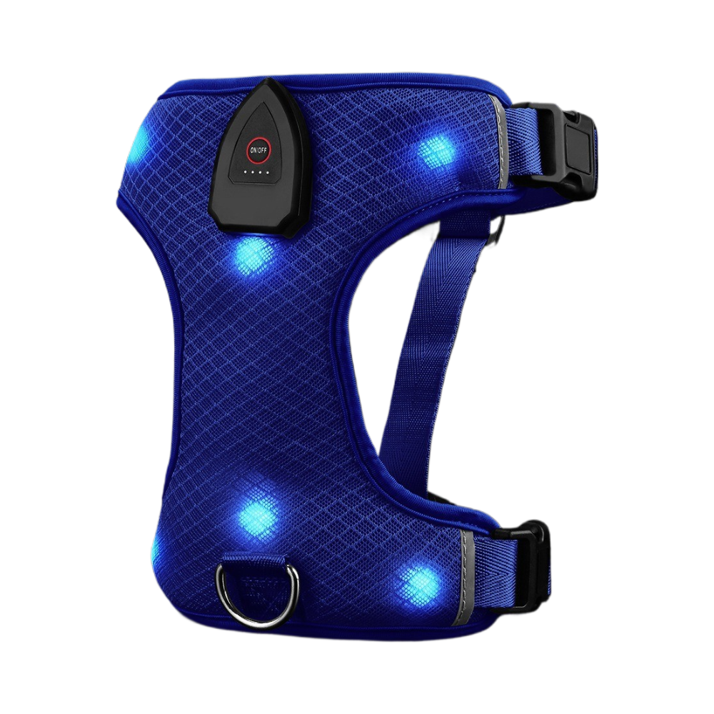 Safety Glow LED Dog Harness - USB Rechargeable Reflective Vest - No-Pull Mesh Design (3 Flash Modes)