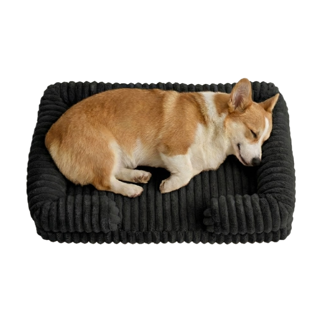 Ultra-Soft Calming Pet Sofa Bed – Warm Winter Plush with Removable Washable Cover (Orthopedic Bolster Support)